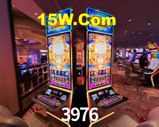 3976 Com