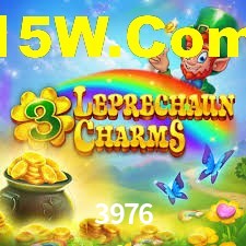 Premium Interface 3976